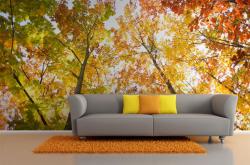 Autumn Day