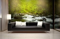 Wall Murals - Mountain River