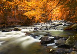 Fototapeten - Berg Fluss
