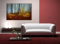 Wall Murals - Autumn Leaves