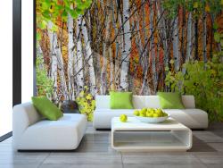 Aspen Trees