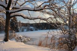 Fototapeten - Schnee