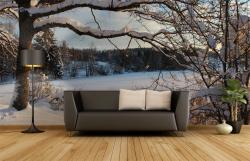 Snow Landscape