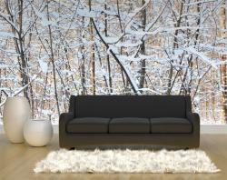Fototapeten - Schnee