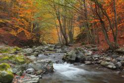 Wall Murals - Mountain River