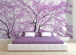 Cherry Blossoms