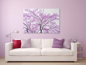 Papier Peint Photo - Fleurs de Cerisier