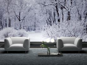 Fotobehang - Sneeuw Bomen