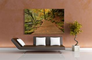 Fotomurales - Bosque