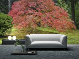 Japanischer Garten