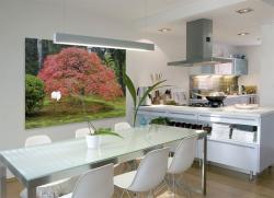 Wall Murals - Japanese Garden