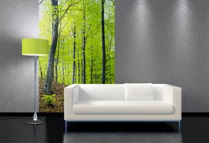 Fotobehang - Bos