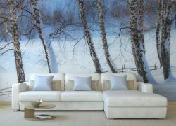 Aspen Trees