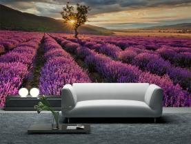 Lavendelblomst
