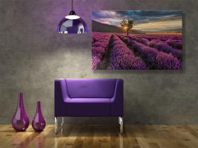Papier Peint Photo - Fleurs Lavande