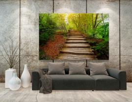 Wall Murals - Forest