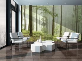 Foresta
