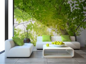 Foresta Verde