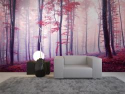 Autumn Forest