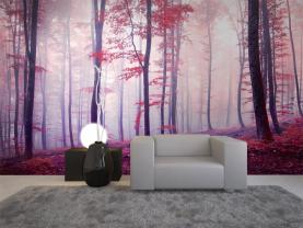Herbst Wald