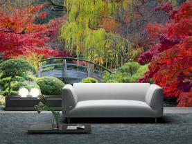 Wall Murals - Japanese Garden