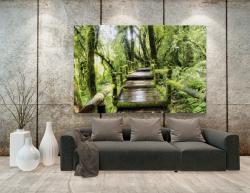 Wall Murals - Forest
