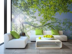 Fotobehang - Lente Boom
