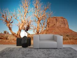 Fotomurales - Monument Valley Arizona