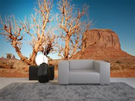 Fototapeter - Monument Valley Arizona