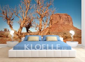 Monument Valley Arizona