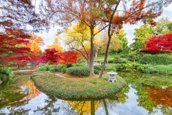 Fototapeten - Japanischer Garten