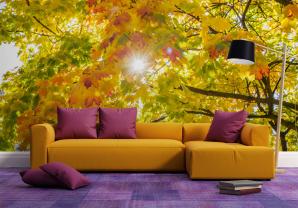 Feuilles d'automne