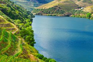 Fototapeten - Douro Tal
