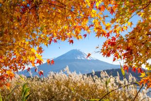 Murais de Parede - Monte Fuji