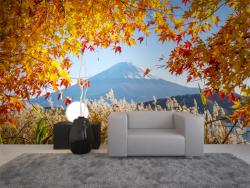 Mount Fuji