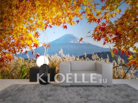 Mount Fuji