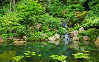 Fototapeten - Japanischer Garten