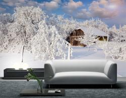 Snow Trees