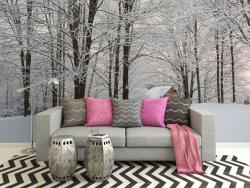 Snow Trees