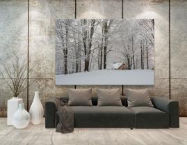 Fototapeter - Snö Träd