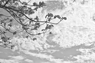 Murais de Parede - Céu Nuvens
