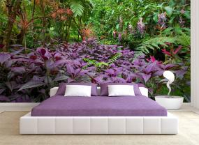 Floresta Tropical