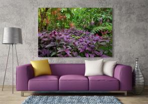 Wall Murals - Tropical Forest