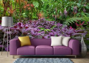 Wall Murals - Tropical Forest