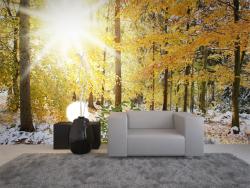 Autumn Leaves