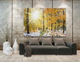 Wall Murals - Autumn Leaves