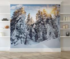 Snow Winter