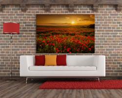 Wall Murals - Poppies