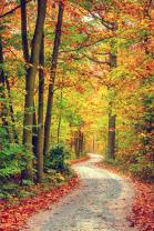 Fototapeten - Herbsttages