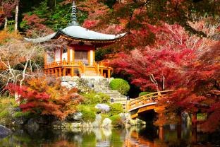 Fotomurales - Jardín Japonés